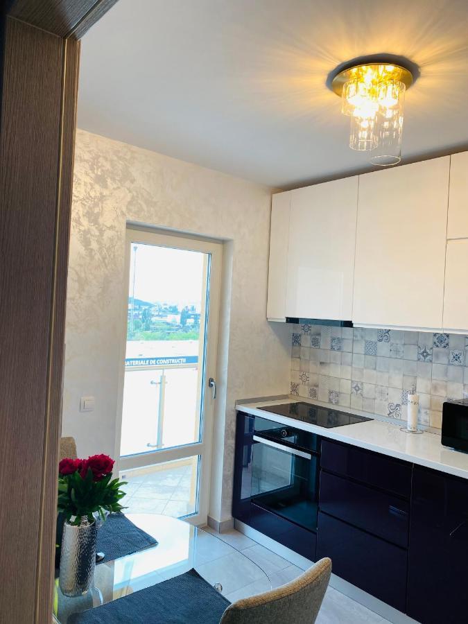 Dina Lux Iasi Apartment Zewnętrze zdjęcie