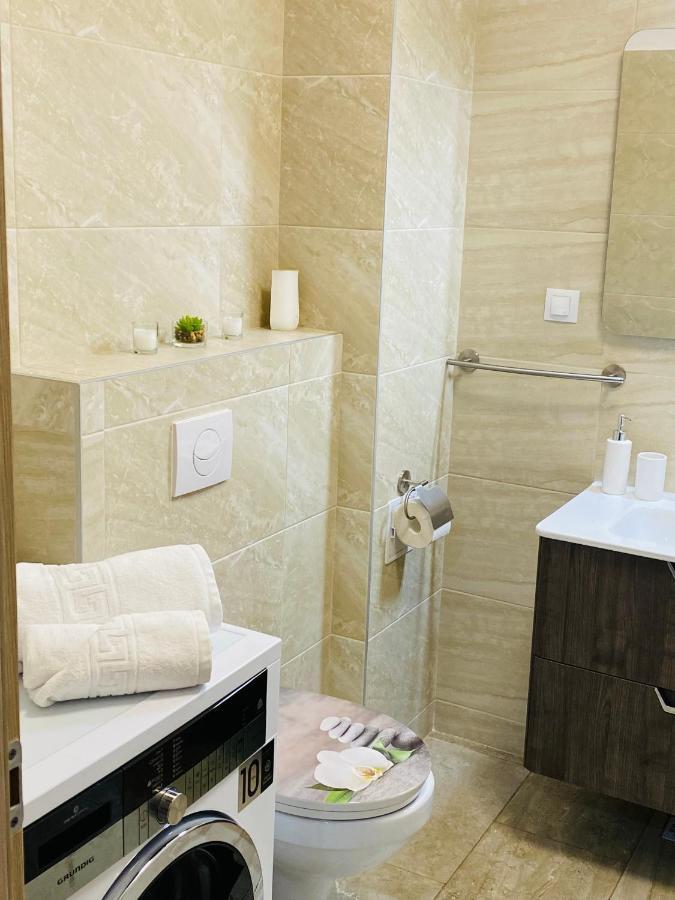 Dina Lux Iasi Apartment Zewnętrze zdjęcie